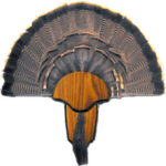 HS STRUT MOUNTING KIT TURKEY - TAIL & BEARD