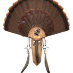 HS STRUT MOUNTING KIT TURKEY - TAIL & THREE BEARD