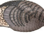 HS STRUT TURKEY DECOY HEN - STRUT-LITE FEEDER