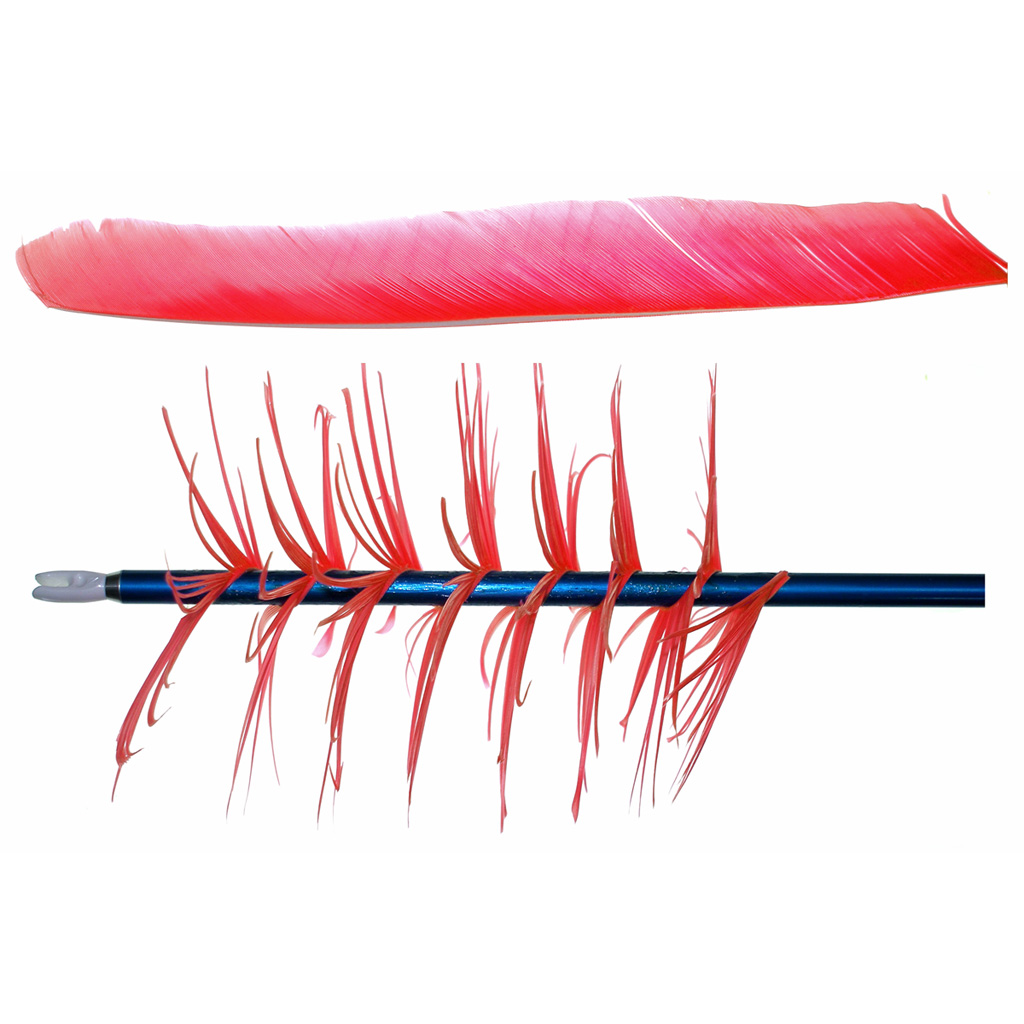 OLYMPUS DIGITAL CAMERA Trueflight Spiral Wrap Flu-Flu Feathers Red RW 100 pk. - Image 1