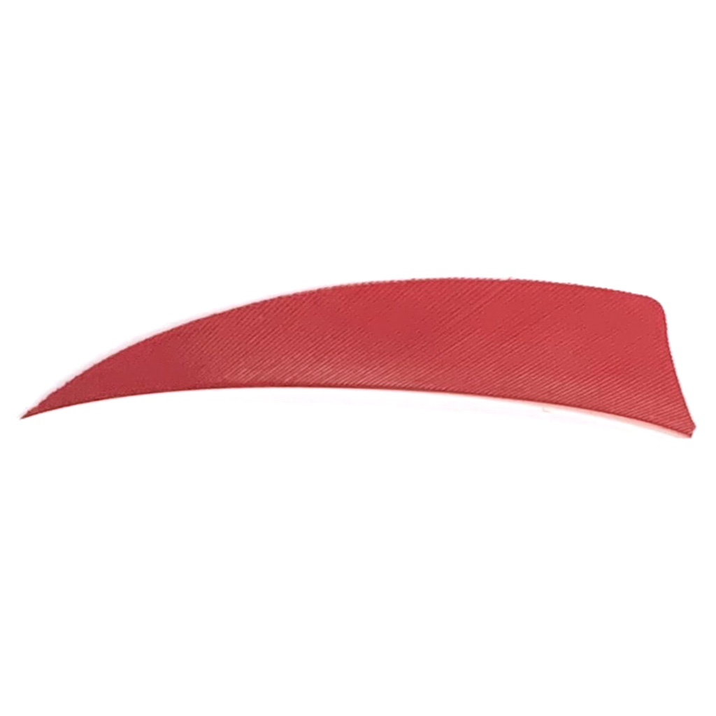 1005947_1.jpg Trueflight Shield Cut Feathers Red 3 in. RW 100 pk. - Image 1