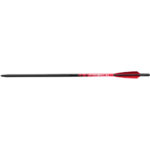 Barnett Demun C10 Hyperbolts 10 in. 6 pk. - Image 2