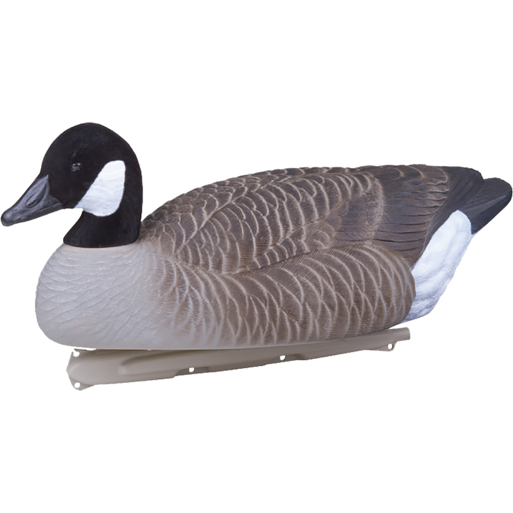 1201541_2.jpg Flambeau Water Pack Canada Goose Decoy 4 pk. - Image 1