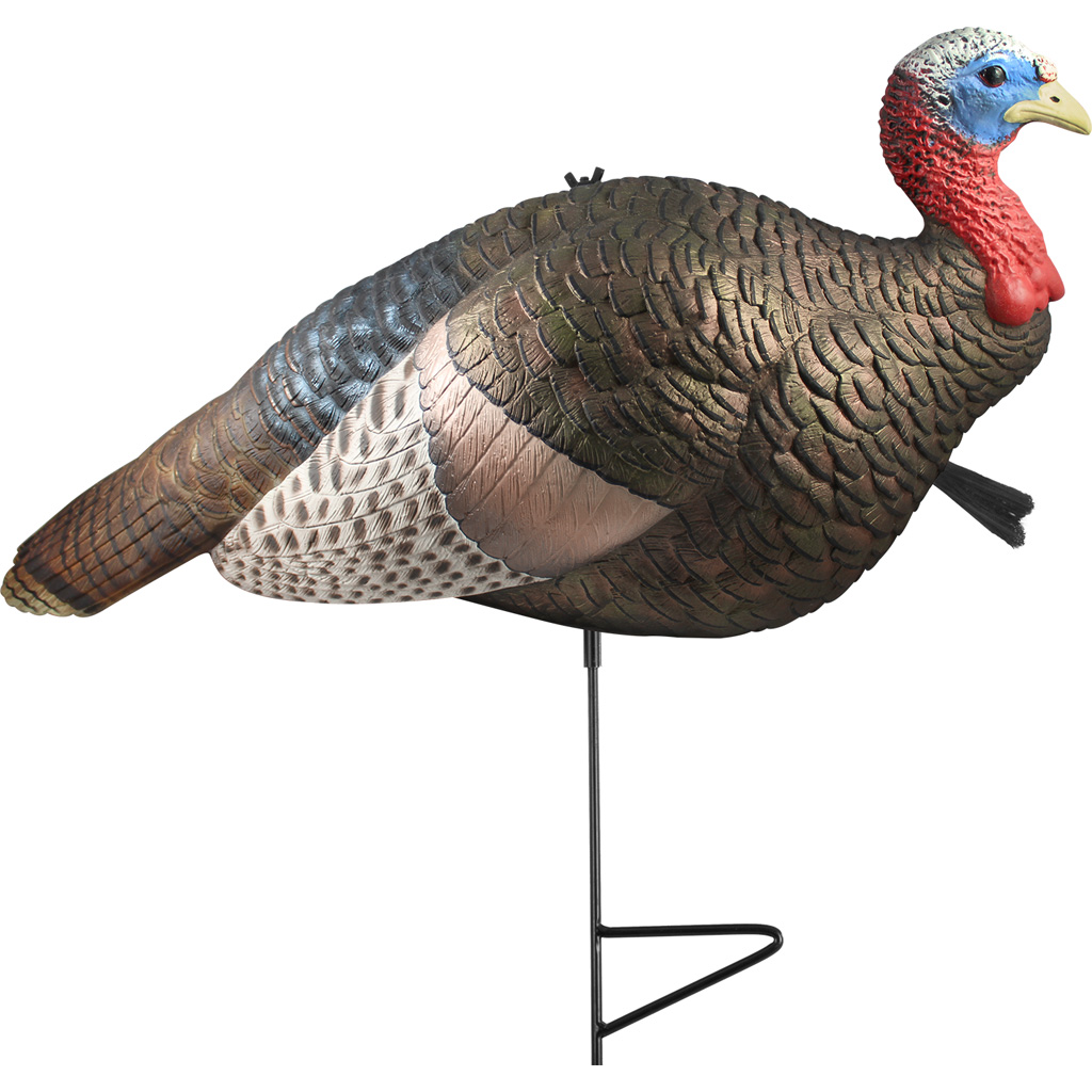 1203091_1.jpg The Grind 1/2 Strut Jake Turkey Decoy - Image 1