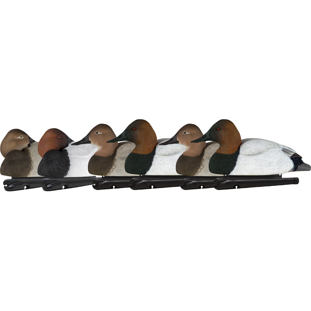 1208520_1.jpg AvianX Top Flight Duck Decoys Canvasback 6 pk. - Image 1