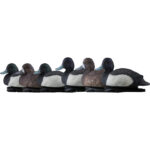 Avian X Top Flight Duck Decoys Blue Bills 6 pk.