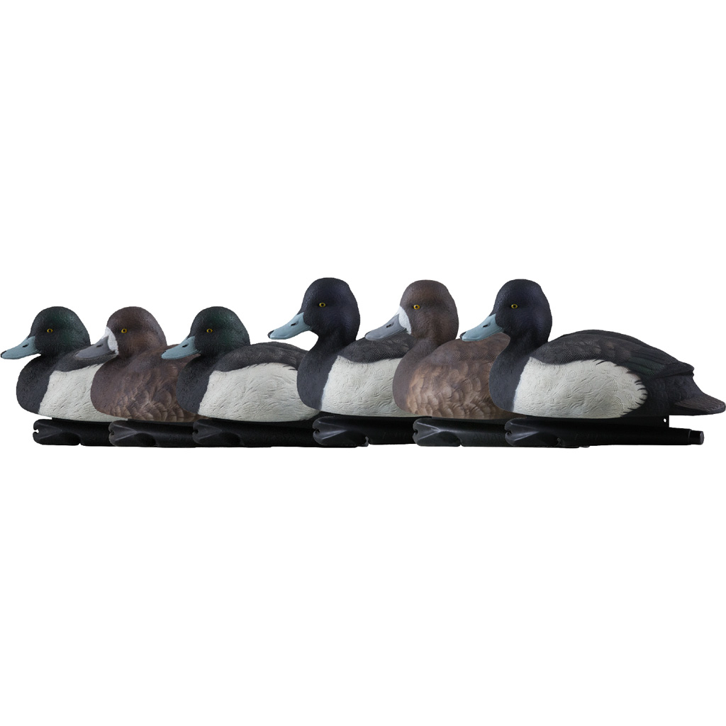 1208521_1.jpg Avian X Top Flight Duck Decoys Blue Bills 6 pk. - Image 1