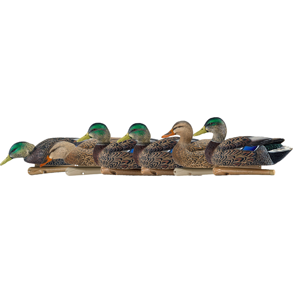 1208524_1.jpg Avian X Top Flight Duck Decoys Early Season Mallards 6 pk. - Image 1