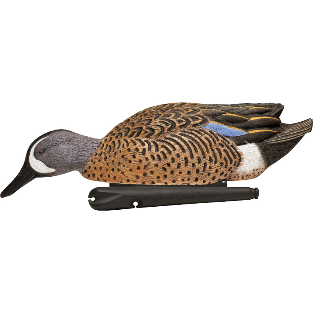 1208532_3.jpg Avian X Top Flight Duck Decoys Blue-Winged Teal 6 pk. - Image 1