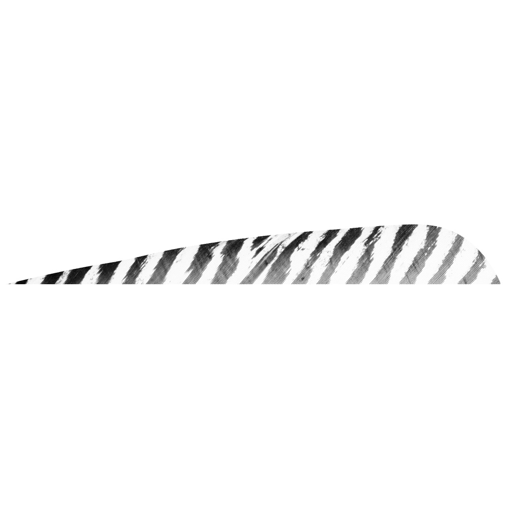 12524_1.jpg Gateway Barred Feathers White 5 in. RW 50 pk. - Image 1