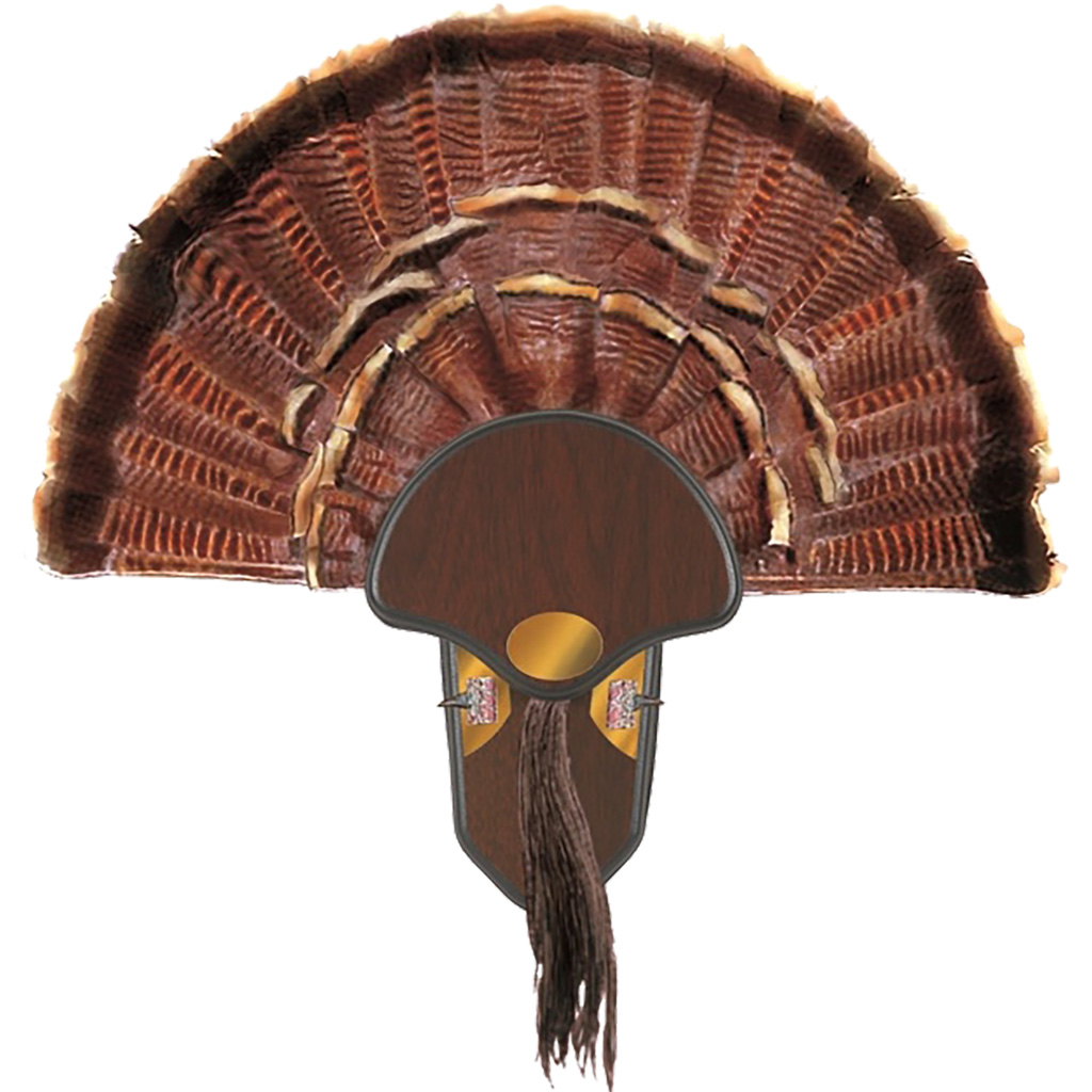 1401601_2.jpg Allen Turkey Tail Mounting Kit - Image 1