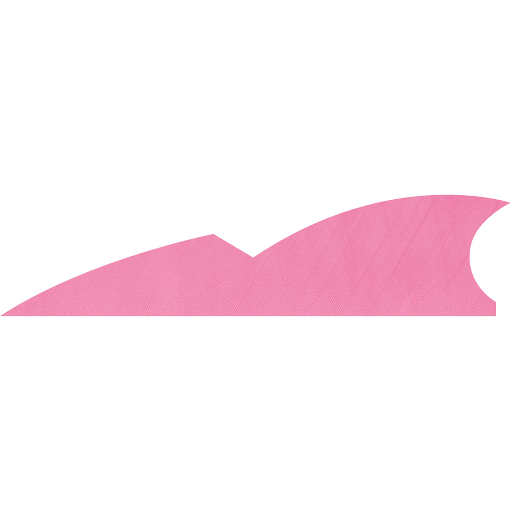 1406893_1.jpg Gateway Batwing Feathers Flo Pink 2 in. LW 50 pk. - Image 1