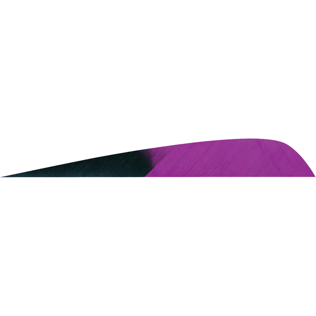 1406943_1.jpg Gateway Parabolic Feathers Kuro Purple 4 in. LW 50 pk. - Image 1