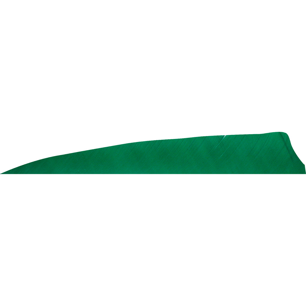 1406979_1.jpg Gateway Shield Cut Feathers Green 4 in. LW 50 pk. - Image 1