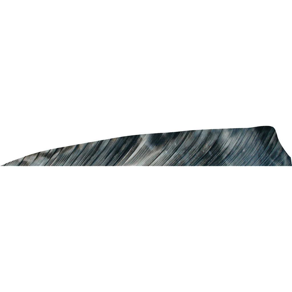 1407000_1.jpg Gateway Shield Cut Feathers Tre Bark 4 in. LW 50 pk. - Image 1