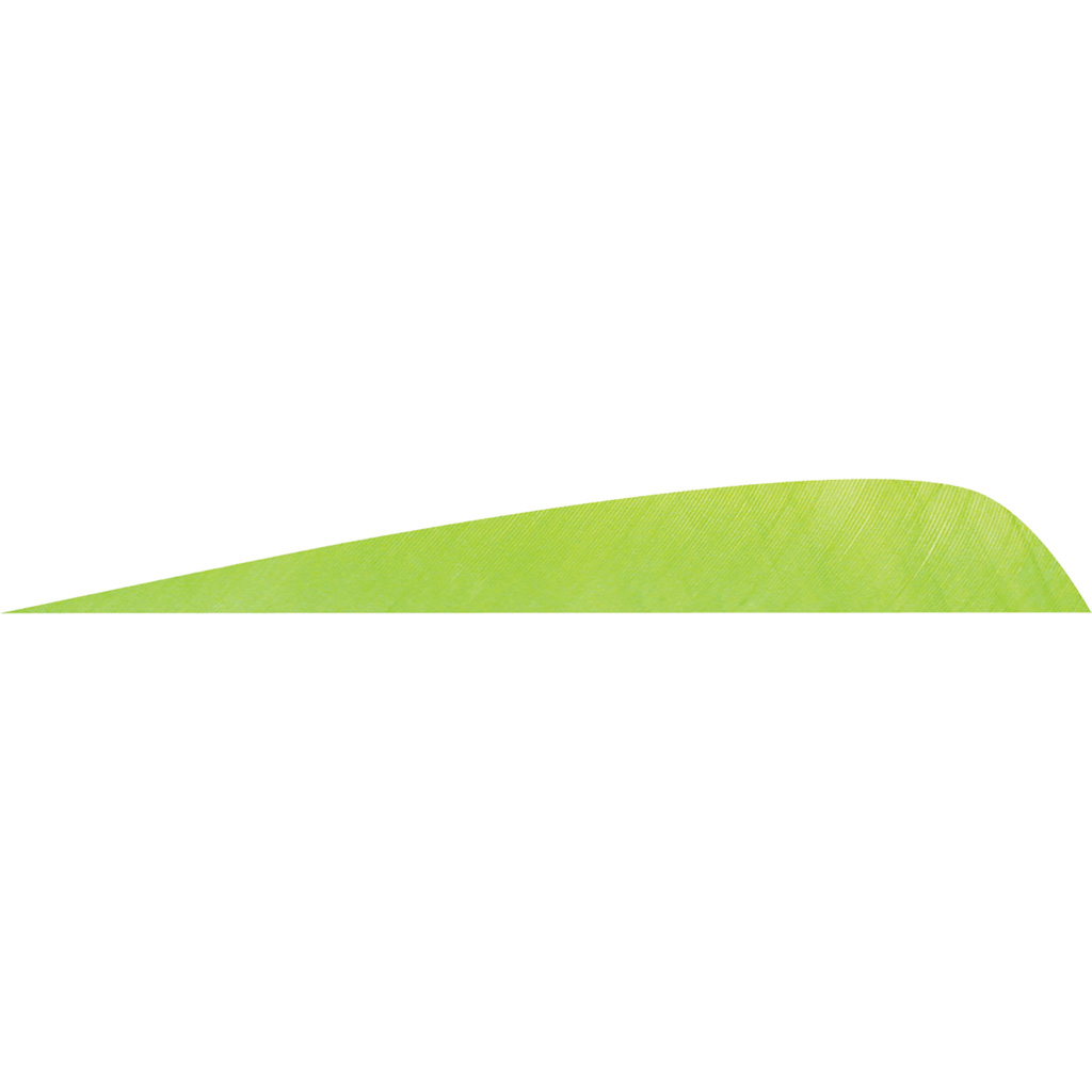 1407009_1.jpg Gateway Parabolic Feathers Chartreuse 4 in. RW 50 pk. - Image 1