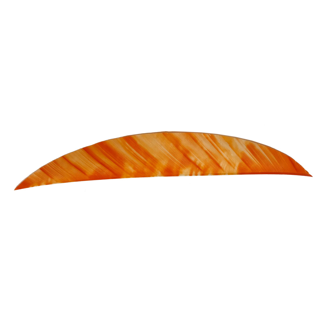 1407105_1.jpg Gateway Magnum Feathers Tre White/Orange 5.5 in. RW 50 pk. - Image 1