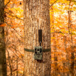 Browning Defender Pro Scout Max HD AI Cellular   46 MP