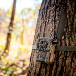 Browning Defender Vision Pro HD AI Cellular 46 MP