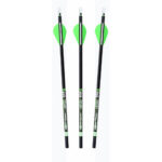 30-06 UFO Lighted Carbon Arrow Green 30 in. 340 3 pk. - Image 2