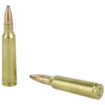 REMINGTON R250SV 250 SAV 100GR CORE-LOKT PSP 20 RD/BX 10 BX/CS - Image 3
