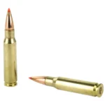 HORNADY CUSTOM 308WIN 150G SST 20RD BX 200RD CASE - Image 3