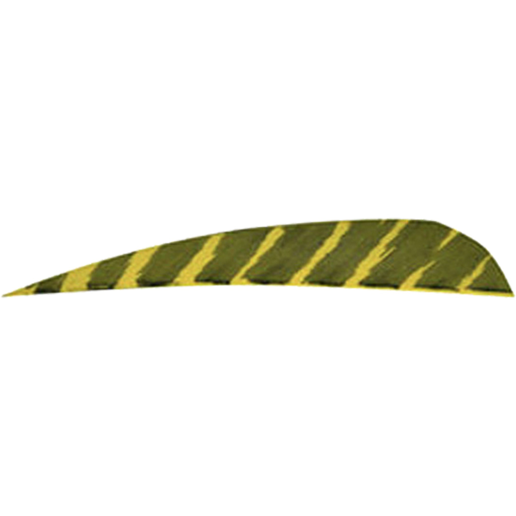 27499_1.jpg Gateway Barred Feathers Yellow 4 in. RW 50 pk. - Image 1