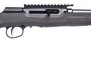 SAV A22 FV-SR 22LR SA SYN 10RD