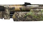 WRA SXP LNGBRD 12M/24 3 MOOB