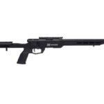 SAV B22 PREC 22LR BA 10RD TB