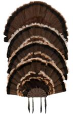 ALLEN EZ MOUNT STACKED TURKEY - FAN MOUNT HOLDS 5 FANS - Image 2