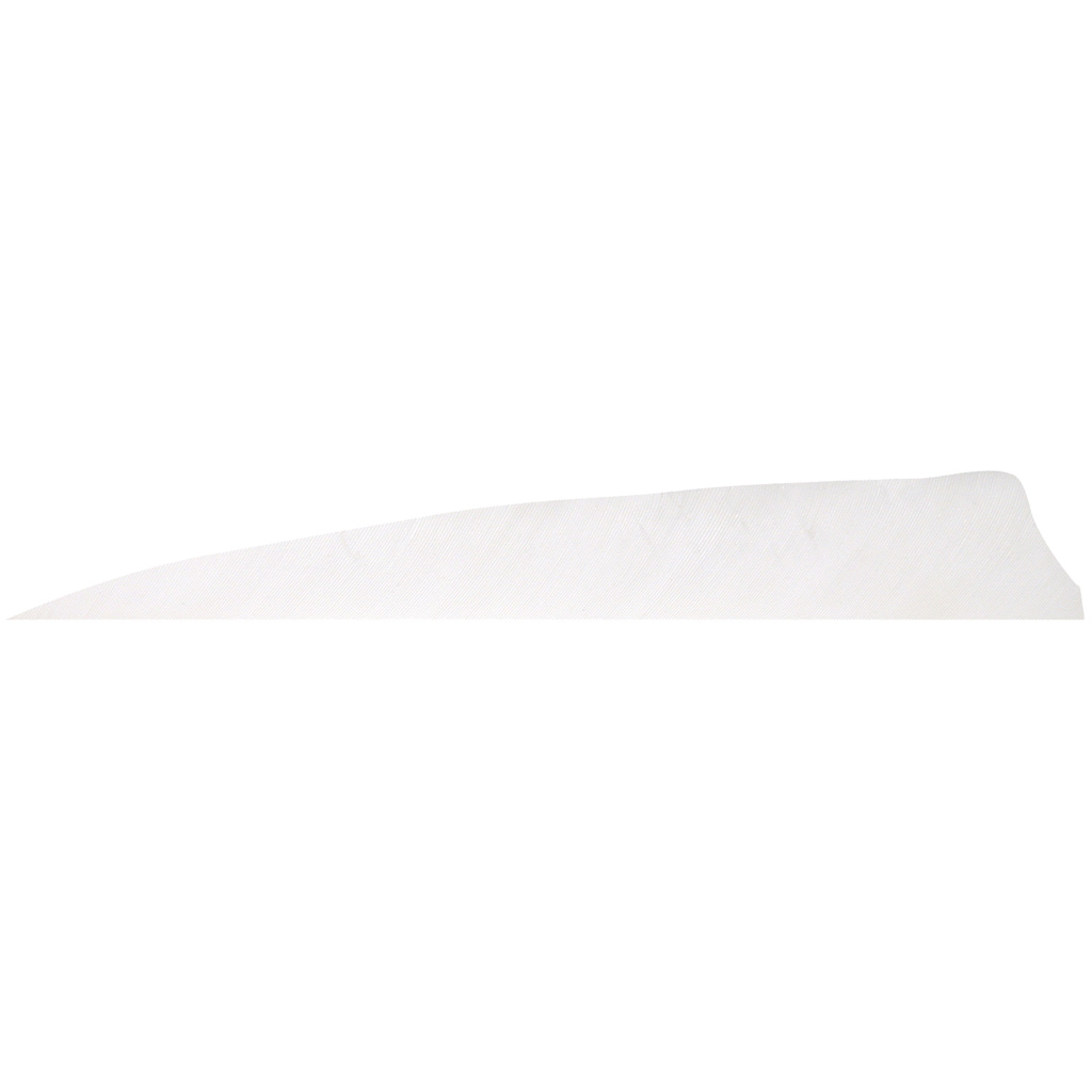 76611_1.jpg Gateway Shield Cut Feathers White 4 in. RW 100 Pk. - Image 1