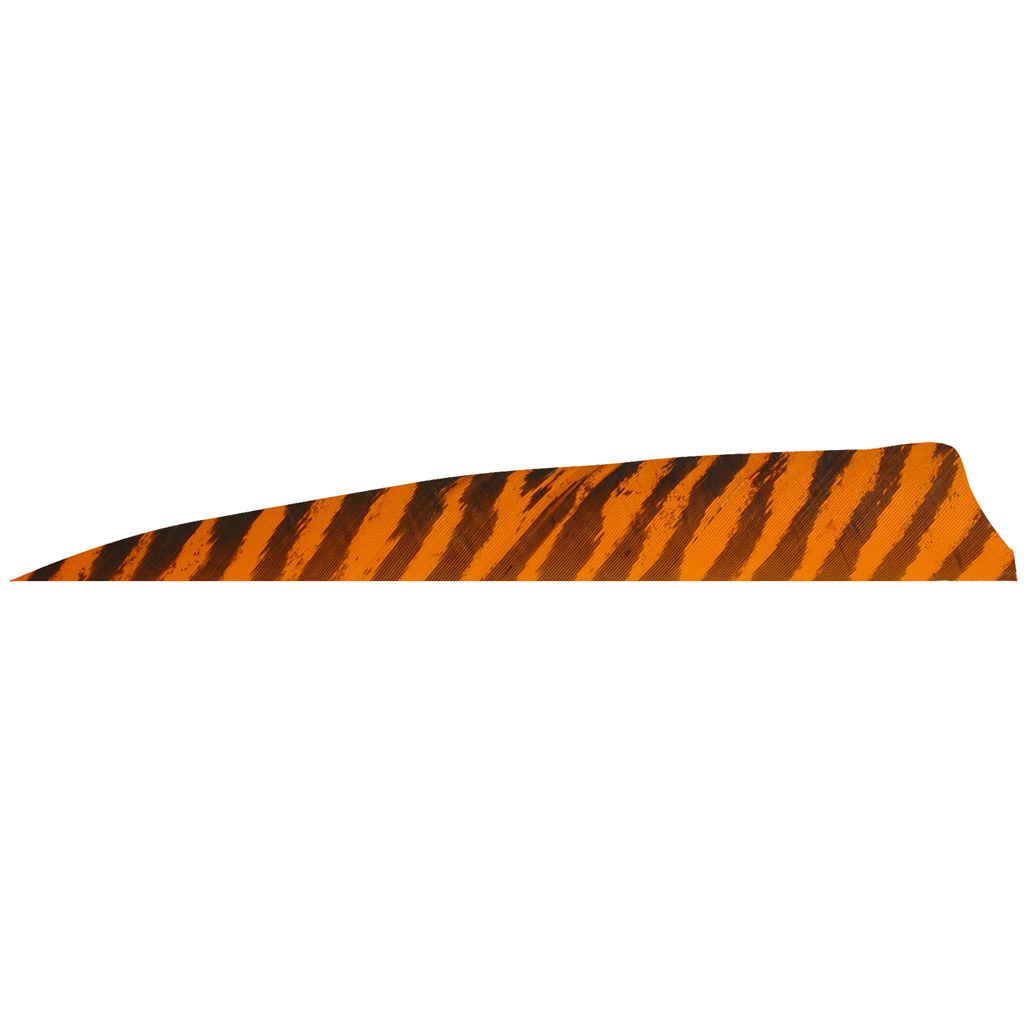 76621_1.jpg Gateway Shield Cut Feathers Barred Orange 4 in. RW 100 Pk. - Image 1