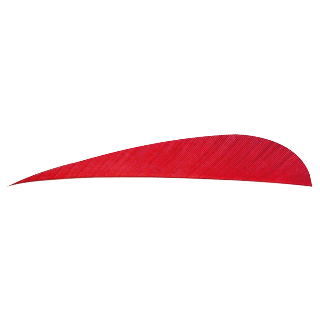 8452_1.jpg Trueflight Parabolic Feathers Red 4 in. RW 100 pk. - Image 1