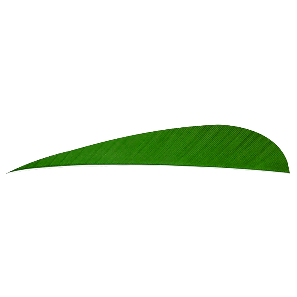 8456_1.jpg Trueflight Parabolic Feathers Green 4 in. RW 100 pk. - Image 1