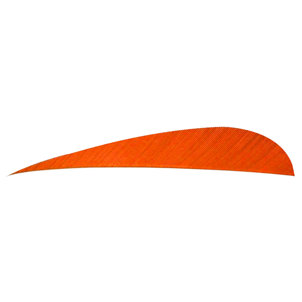 8469_1.jpg Trueflight Parabolic Feathers Orange 4 in. LW 100 pk. - Image 1