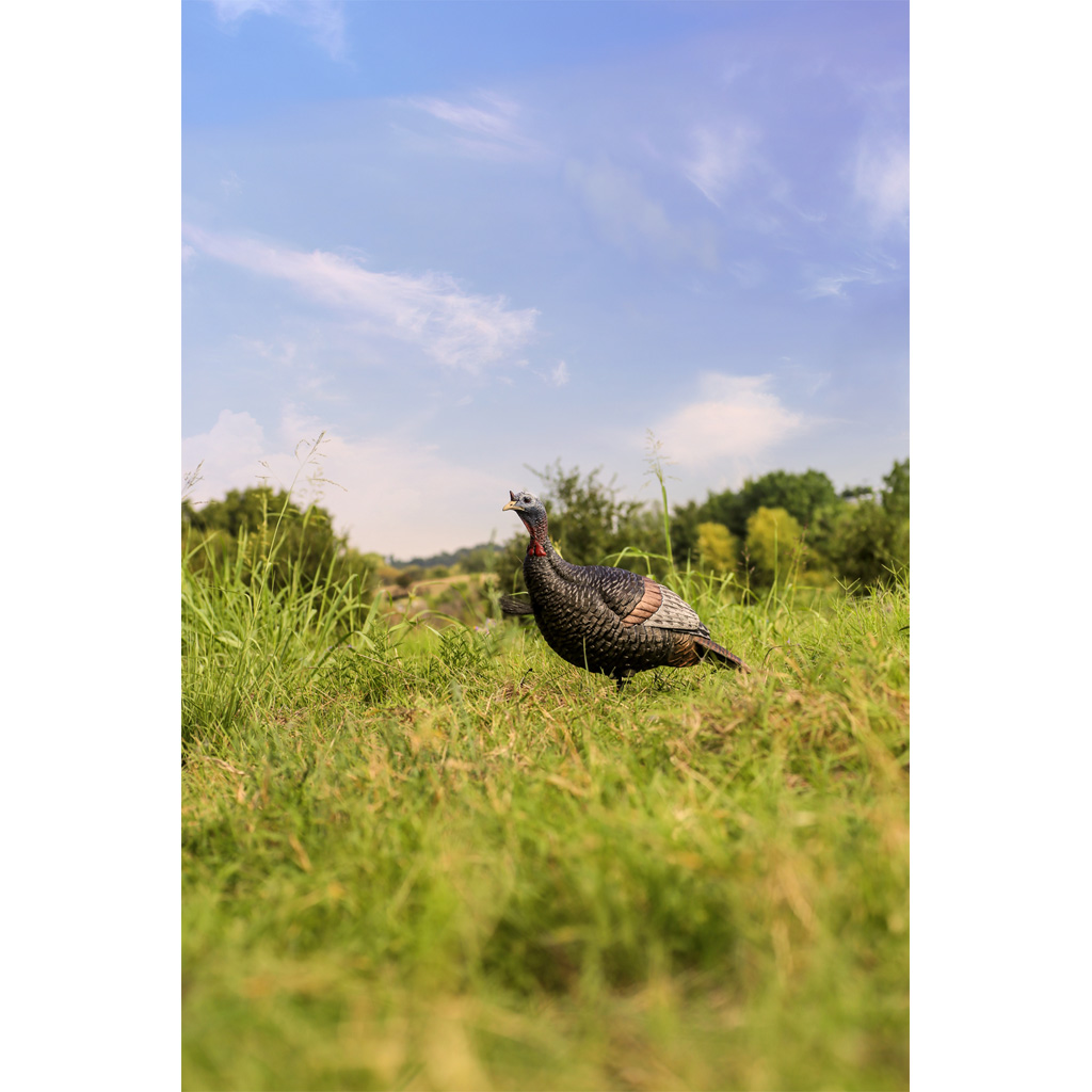86664_2.jpg Flextone Thunder Jake Turkey Decoy - Image 1