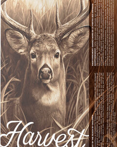 BARNES HARVEST 243 WIN 90GR - TIPPED GAMEKING 20RD 10BX/CS