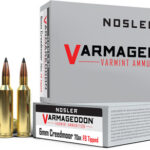 NOSLER VARMAGEDDON 6MM CM - 70GR FBT 20RD 10BX/CS