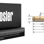 NOSLER BT 7MM-08 REM 120GR - BALLISTIC TIP 20RD 10BX/CS