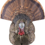 AVIAN X LCD STRUTTER DECOY