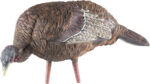 AVIAN X LCD FEEDER HEN DECOY - Image 3