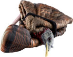 AVIAN X LCD FEEDER HEN DECOY