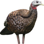 AVIAN X LCD BREEDER HEN DECOY