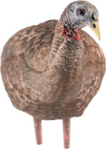 AVIAN X LCD BREEDER HEN DECOY - Image 3