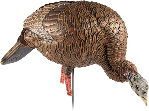 AVXAVX8107_ANGLE-1.jpg AVIAN X HDR FEEDING HEN DECOY - Image 1