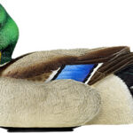 AVIAN X POWER SHAKER MALLARD - DRAKE PREENER DECOY
