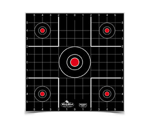 B/C DIRTY BIRD SIGHT IN TGT 12-12"