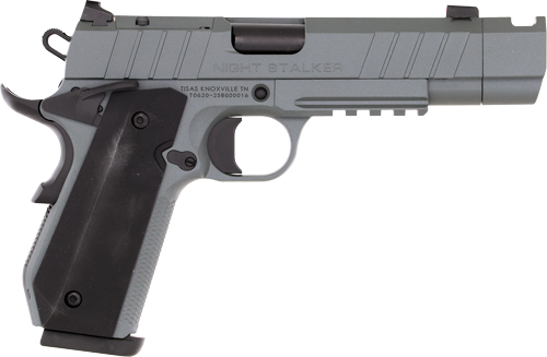 G10100133.jpg TISAS 1911 B9BA NSSF-C 9MM - 4.25" BBL 10RD W/CASE GREY - Image 1