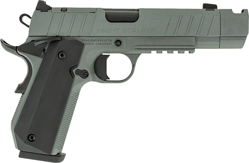 G10100135.jpg TISAS 1911 B45BA NSSF-C 45ACP - 4.25" BBL 8RD W/ CASE GREY - Image 1